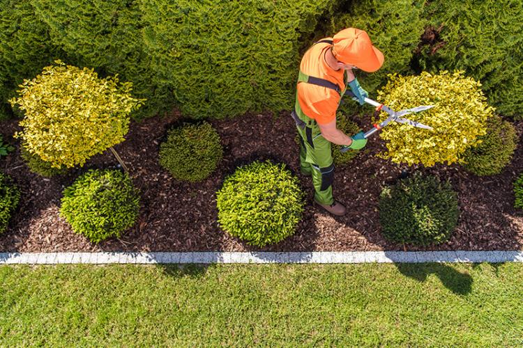 Landscaping Tips To Save Your HVAC System