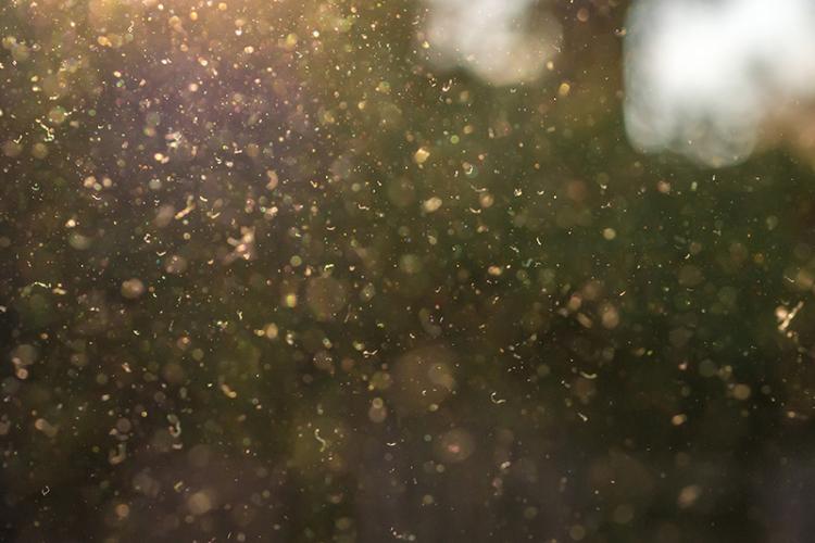 How To Protect Against Pollen This Spring